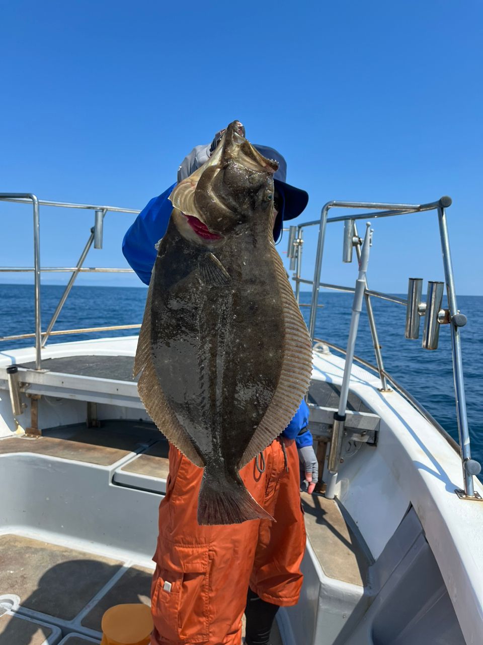 ジンさんさんの釣果 1枚目の画像