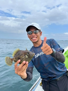 カワハギの釣果