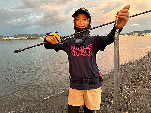 タチウオの釣果