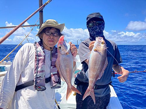 オオヒメの釣果