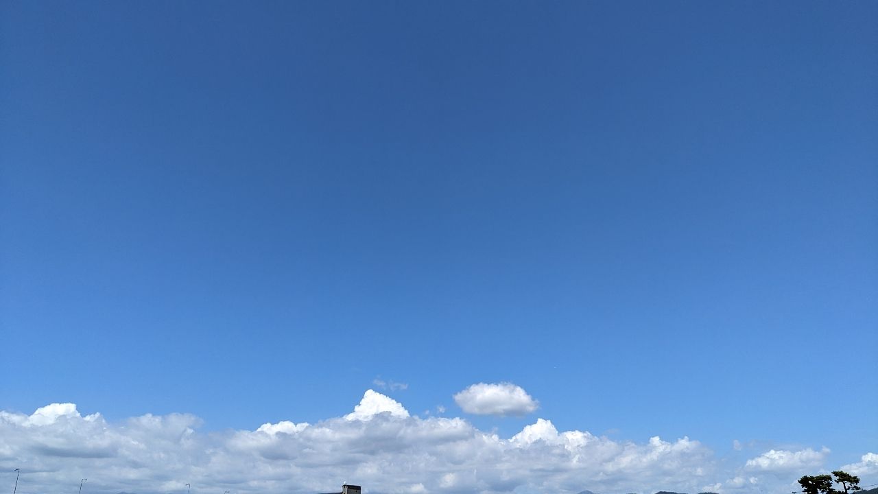 テナガエビ