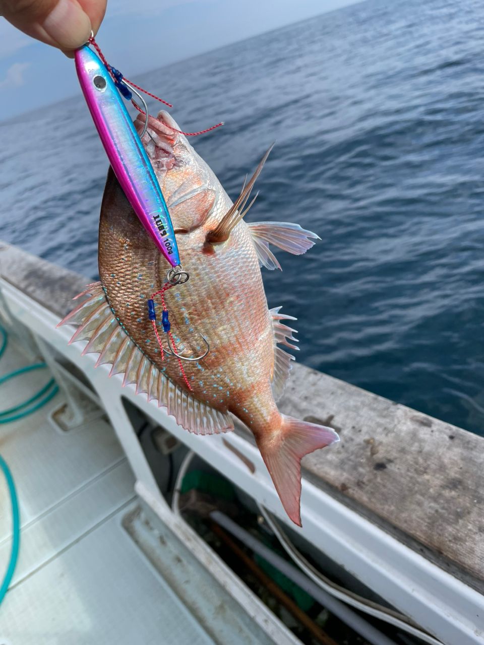 アングラー九州さんの釣果 1枚目の画像