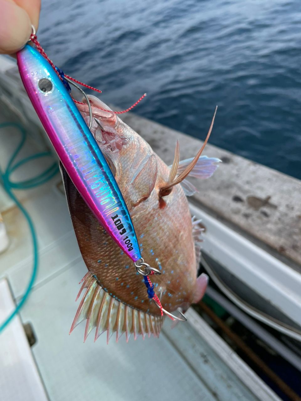 アングラー九州さんの釣果 2枚目の画像