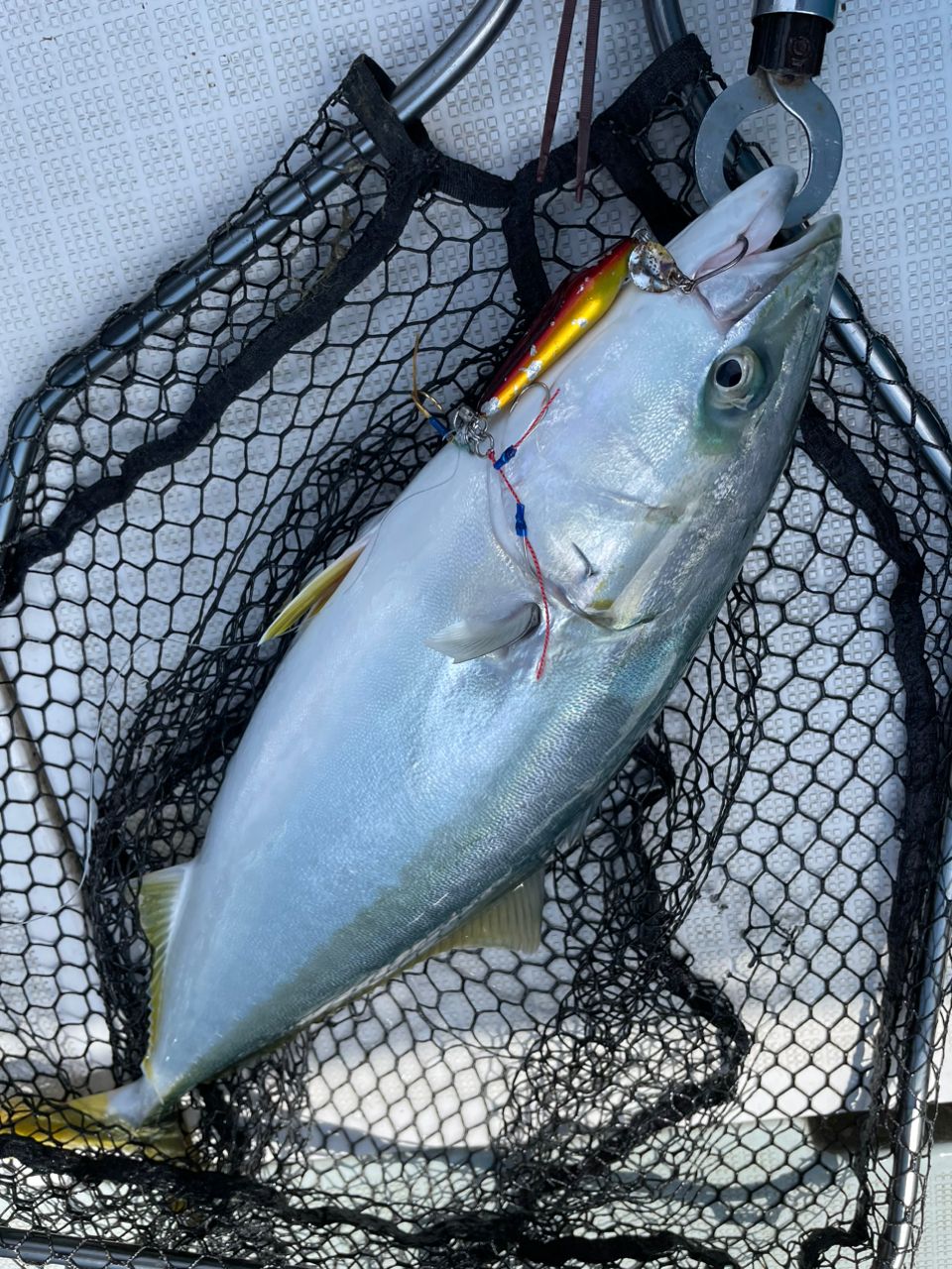 アングラー九州さんの釣果 2枚目の画像