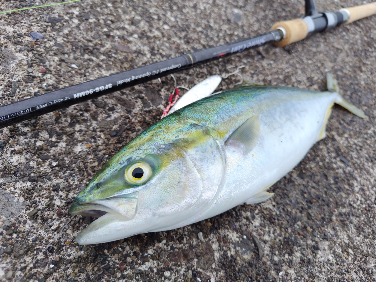 石川県☆雷魚☆ポイントマップ☆厳選１８ヵ所☆モンスター☆フロッグ☆2022年最新版 - フィッシング