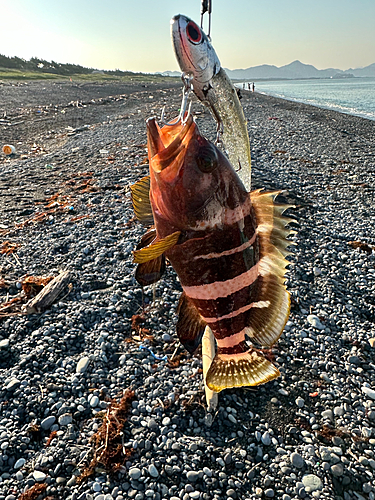 釣果