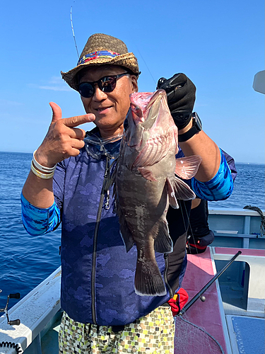 マハタの釣果