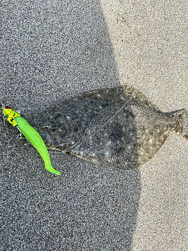 釣果