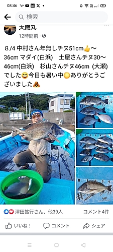 クロダイの釣果