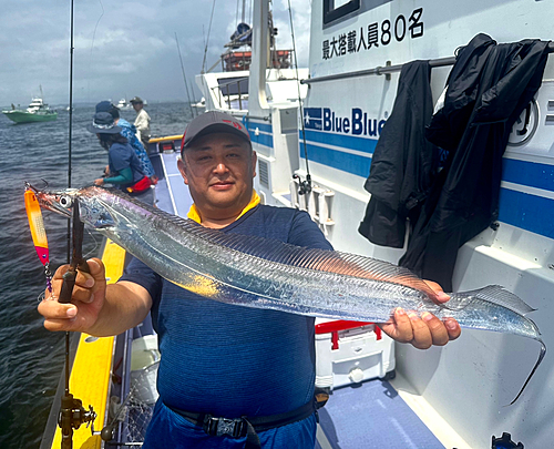 タチウオの釣果