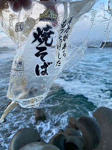 釣果