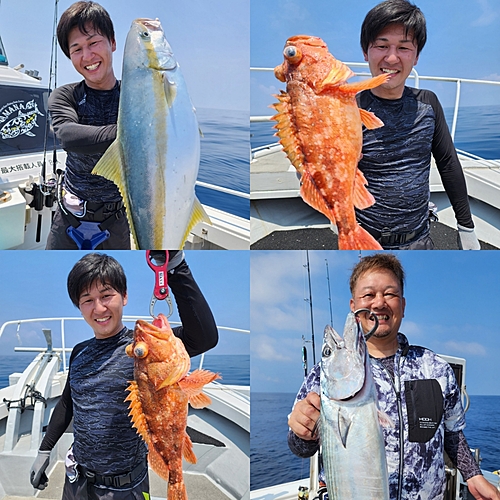 ヒラマサの釣果