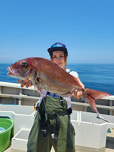 マダイの釣果