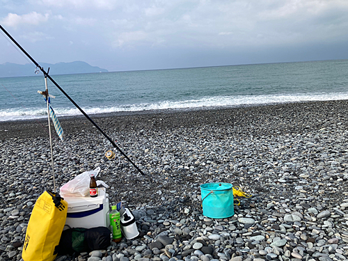 ワカシの釣果