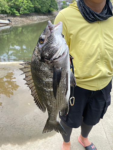 釣果