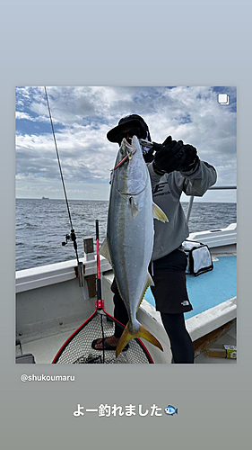 メジロの釣果