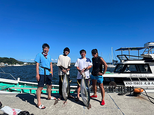 キハダマグロの釣果