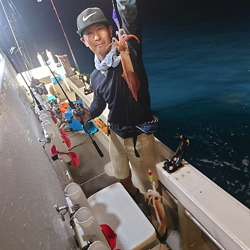 ヤリイカの釣果