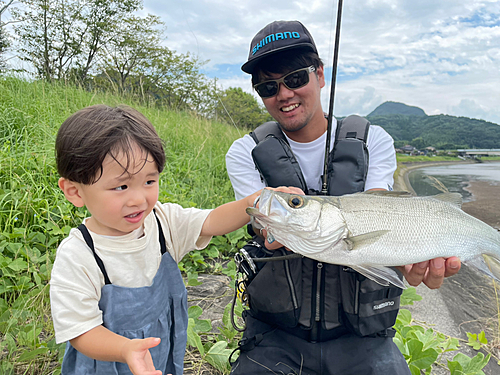 ヒラスズキの釣果