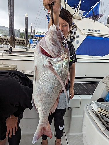 タイの釣果