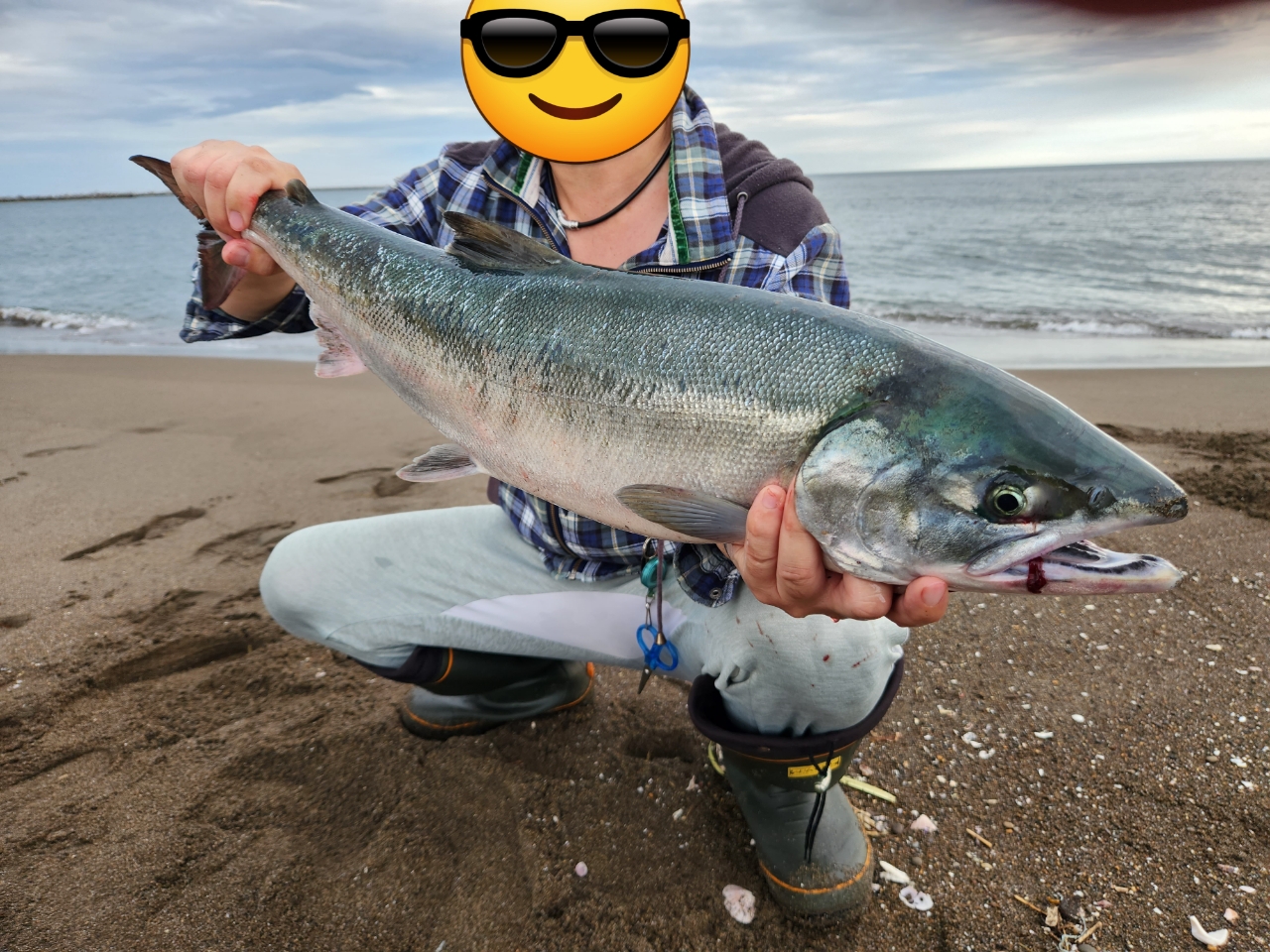 Satriott さんの 2023年08月17日のアキアジの釣り・釣果情報(北海道 - 北海道網走市近辺) - アングラーズ |  釣果600万件の魚釣り情報サイト