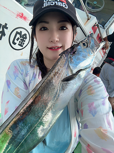 タチウオの釣果