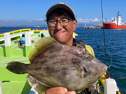 カワハギの釣果