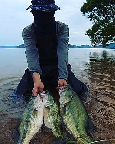 ブラックバスの釣果