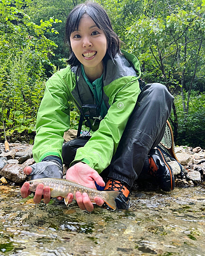 ニッコウイワナの釣果