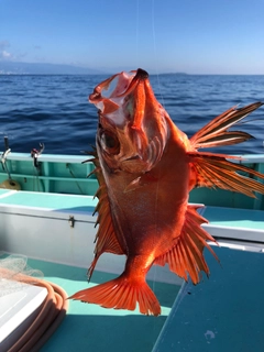 チカメキントキの釣果