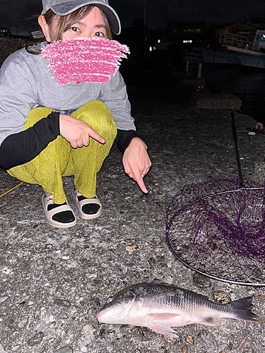 キビレの釣果