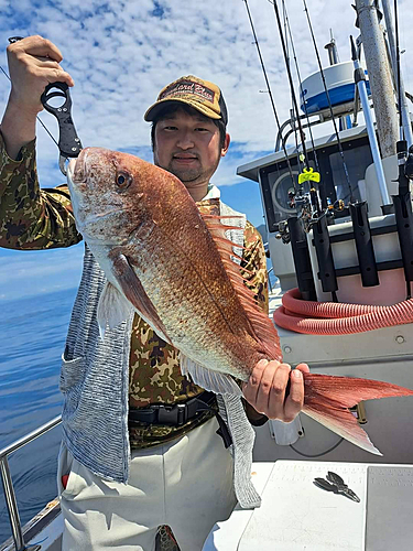 マダイの釣果