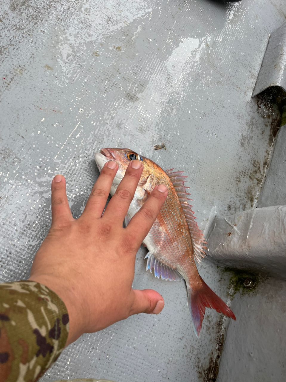 音ユキ0528さんの釣果 2枚目の画像