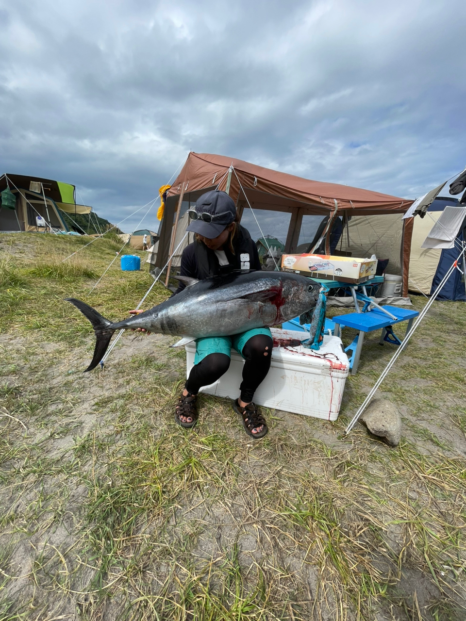 マグロ釣り他」積丹余別ボートトレーラー日帰り駐車場。4月～11月、利用料1万円！！ - キャンプ、アウトドア用品