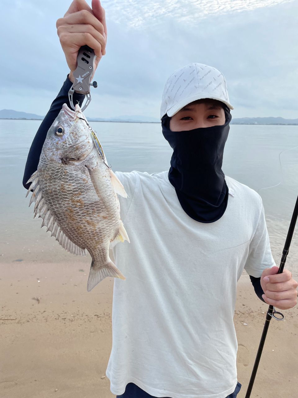 チヌ