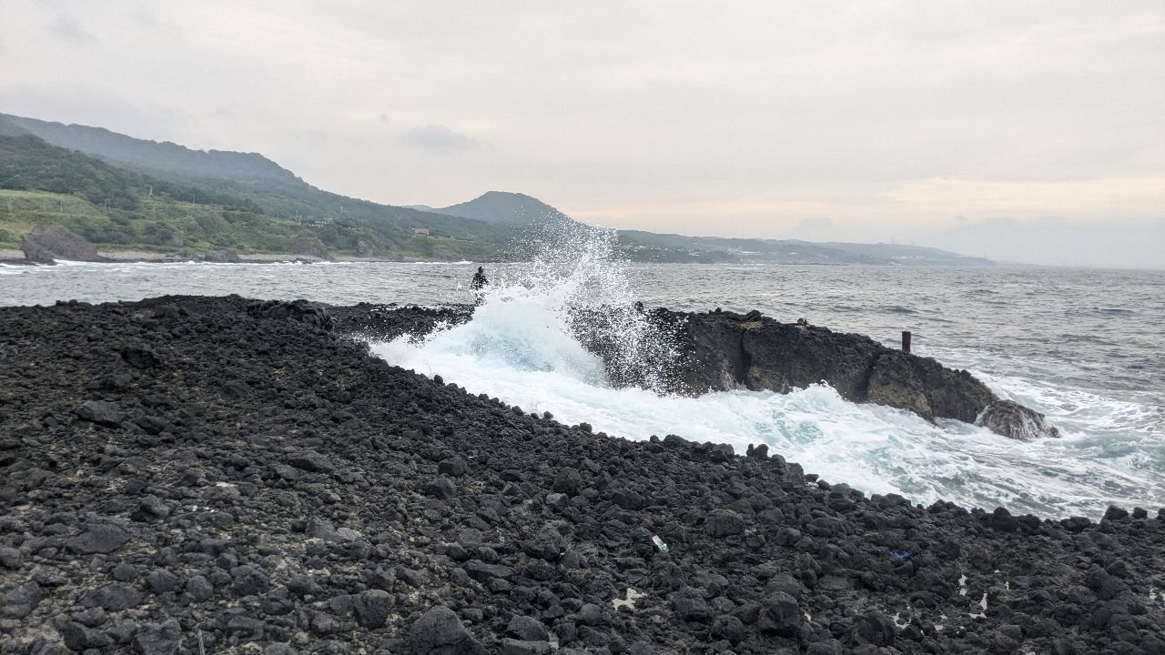 ヒラメ