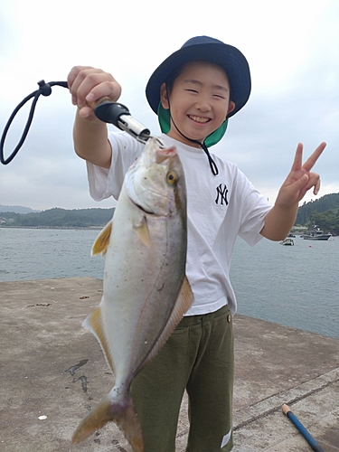 ショゴの釣果