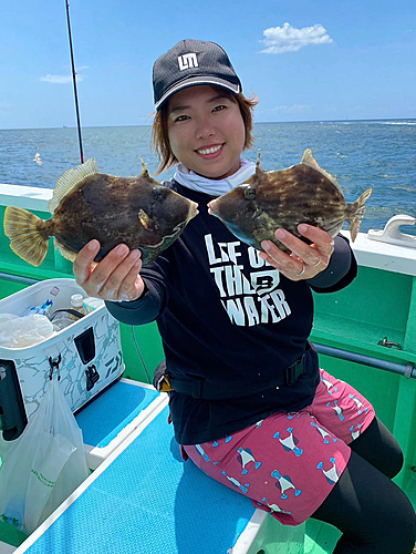 カワハギの釣果