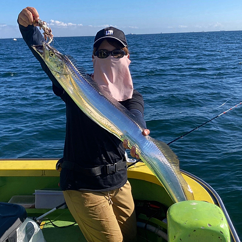 タチウオの釣果