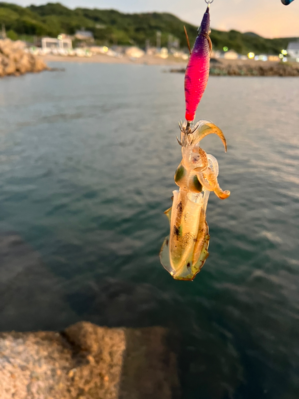 愛知県☆雷魚☆ポイントマップ☆厳選20ヵ所☆モンスター☆フロッグ☆2022年最新版 - フィッシング