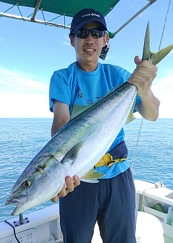 ワラサの釣果