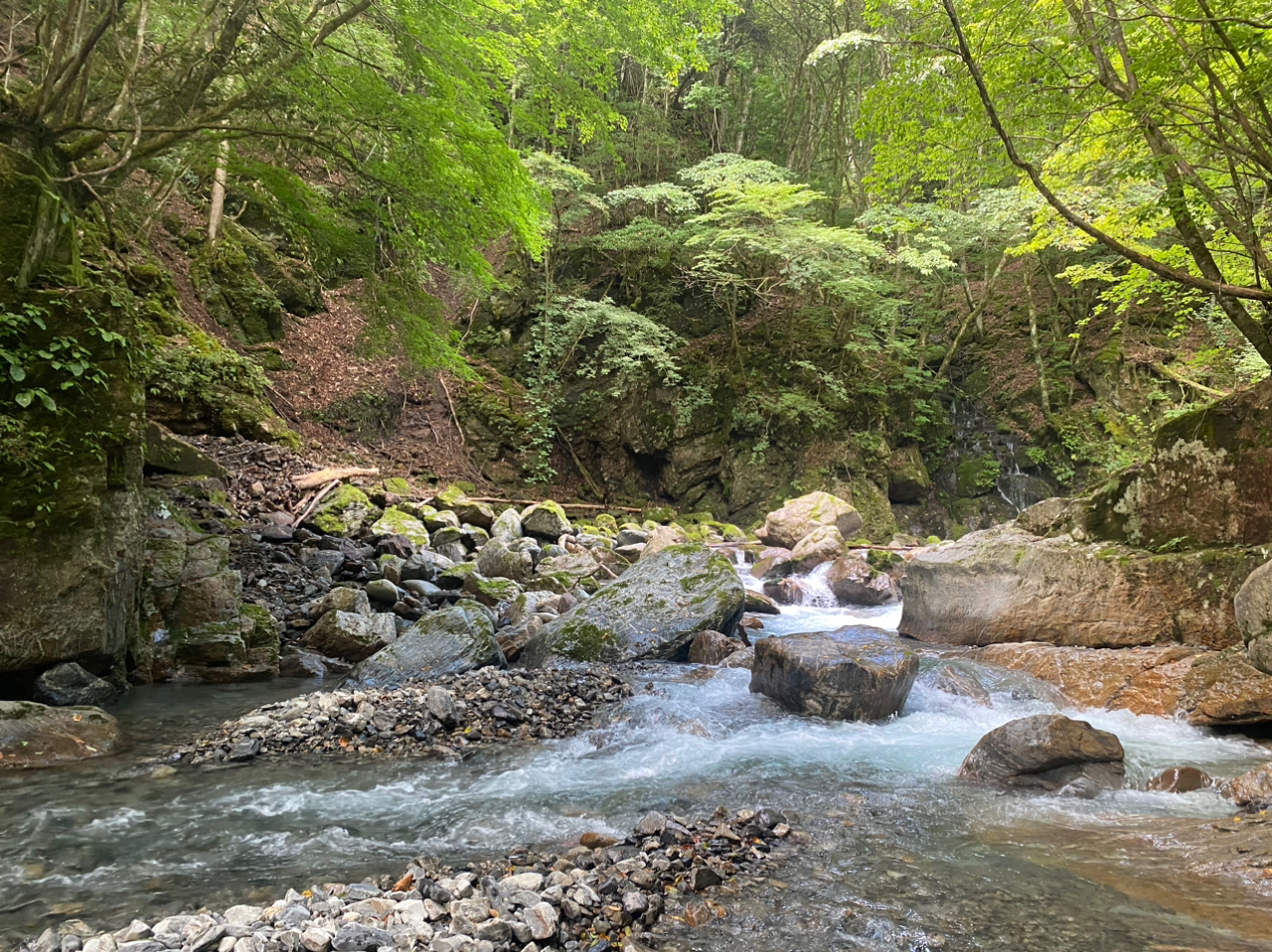 イワナ