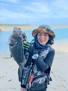 ツチホゼリの釣果