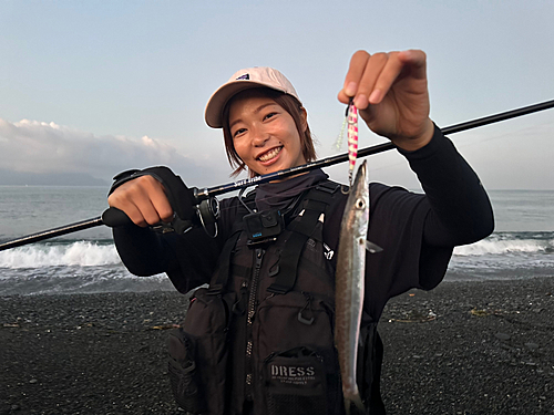 カマスの釣果