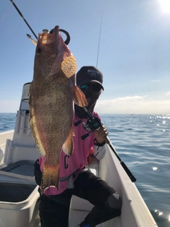 オオモンハタの釣果