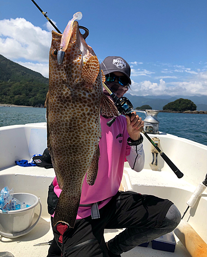 オオモンハタの釣果