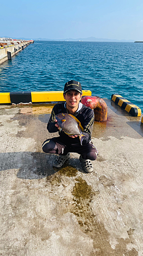 ニセカンランハギの釣果