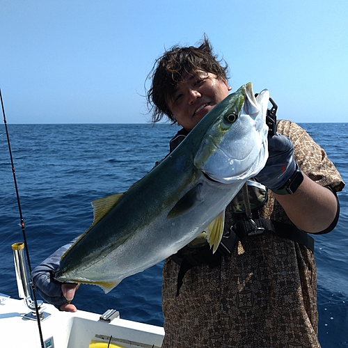 イナダの釣果