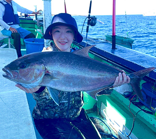 カンパチの釣果