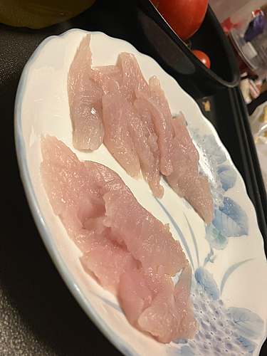 ソイの釣果